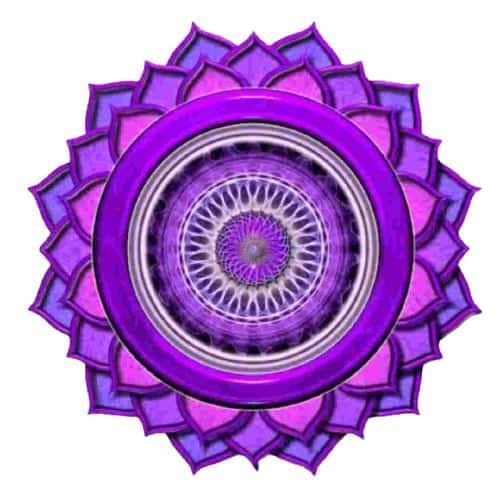 Imagem do chakra coronário / Sahasrara.