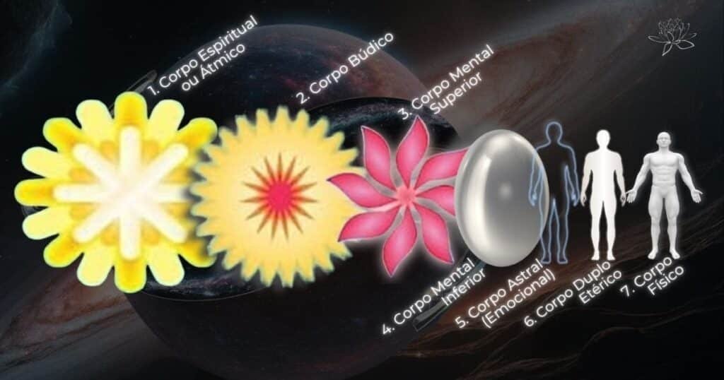 Corpos sutis - Na imagem estão dispostos os formatos e nomenclaturas dos sete corpos sutis.