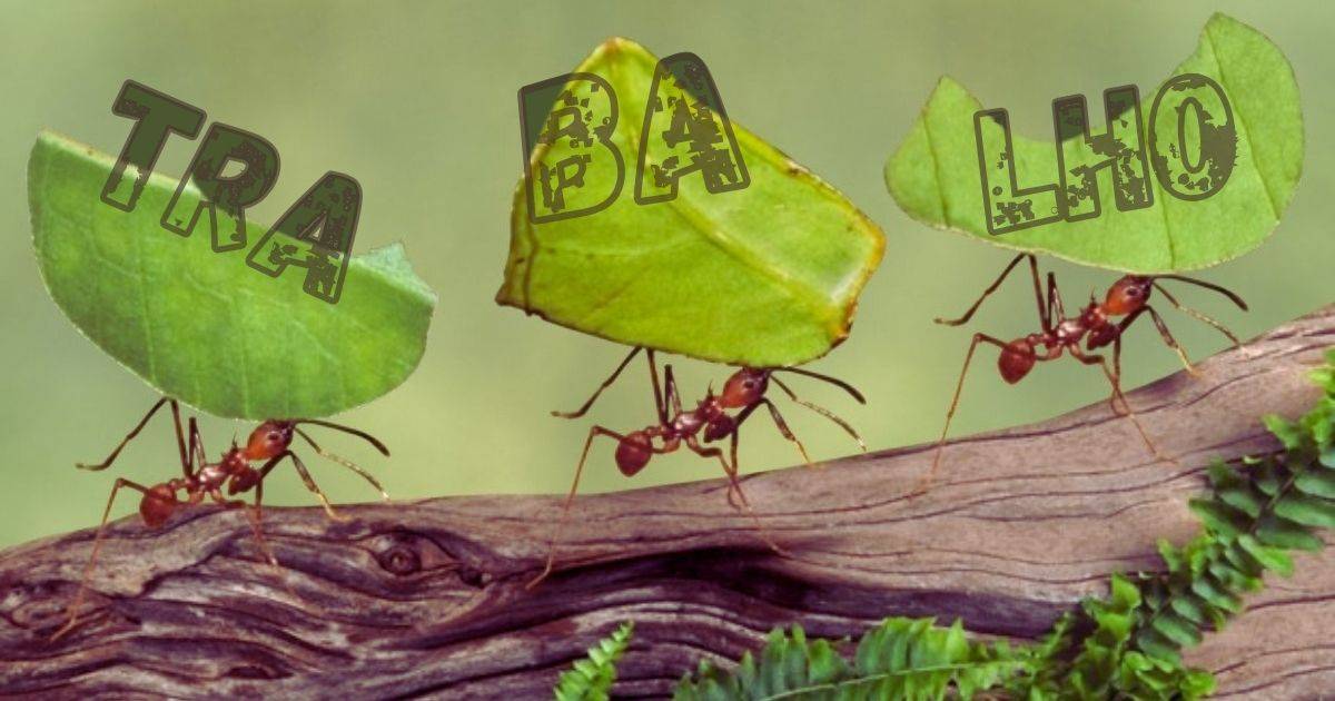 Três formigas laboriosas na natureza, transportando pedaços de folhas que, quando alinhados, soletram a palavra "TRABALHO". Cada pedaço, 1(TRA), 2 (BA) e 3 (LHO), contribui para a construção da mensagem completa.